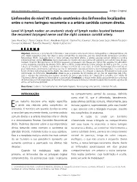 Level VI Lymph Nodes: an Anatomic Study of Lymph Nodes Located Between the Recurrent Laryngeal Nerve and the Right Common Carotid Artery