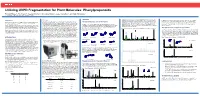 Utilizing UVPD Fragmentation for Plant Molecules: Phenylpropanoids