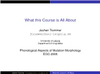 What This Course Is All About