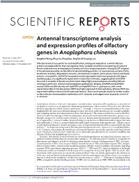 Antennal Transcriptome Analysis and Expression Profiles of Olfactory
