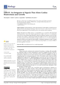 ERK1/2: an Integrator of Signals That Alters Cardiac Homeostasis and Growth
