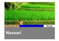 Navsari INDEX