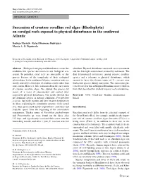 Succession of Crustose Coralline Red Algae (Rhodophyta) on Coralgal Reefs Exposed to Physical Disturbance in the Southwest Atlantic