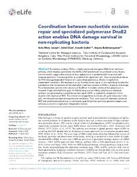 Coordination Between Nucleotide Excision Repair And