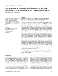 Lattice Organs in Ycyprids of the Facetotecta and Their Significance in the Phylogeny of the Crustacea Thecostraca