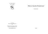 What Is Anarcho-Primitivism?