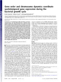 Gene Order and Chromosome Dynamics Coordinate Spatiotemporal Gene Expression During the Bacterial Growth Cycle