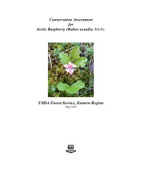 Conservation Assessment for Arctic Raspberry (Rubus Acaulis) Michx