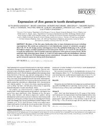 Expression of Sox Genes in Tooth Development