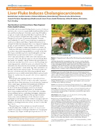 Liver Fluke Induces Cholangiocarcinoma