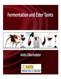 Fermentation and Ester Taints