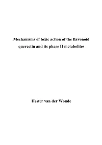 Mechanisms of Toxic Action of the Flavonoid Quercetin and Its Phase II Metabolites