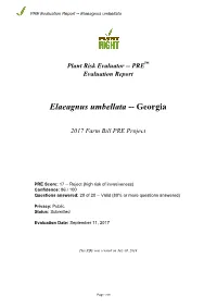 PRE Evaluation Report for Elaeagnus Umbellata