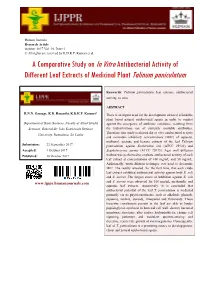 A Comparative Study on in Vitroantibacterial Activity Of
