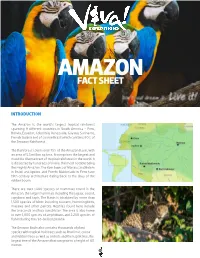 Amazon Fact Sheet Amazon Fact Sheet
