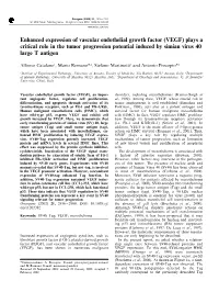 Enhanced Expression of Vascular Endothelial Growth Factor (VEGF) Plays a Critical Role in the Tumor Progression Potential Induced by Simian Virus 40 Large T Antigen