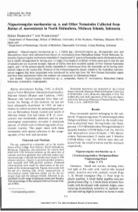 Nippostrongylus Marhaeniae Sp. N. and Other Nematodes Collected from Rattus Cf