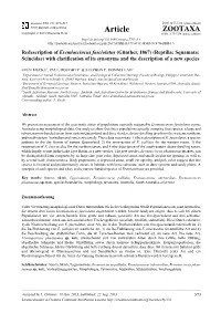 Redescription of Eremiascincus Fasciolatus (Günther, 1867) (Reptilia: Squamata: Scincidae) with Clarification of Its Synonyms and the Description of a New Species
