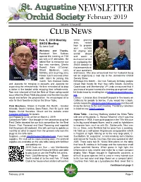 SAOS Newsletter