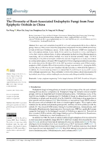 The Diversity of Root-Associated Endophytic Fungi from Four Epiphytic Orchids in China