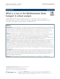What Is a Tree in the Mediterranean Basin Hotspot? a Critical Analysis
