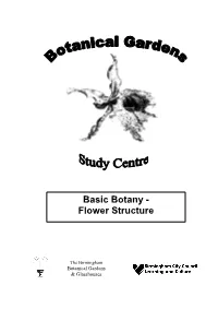 Basic Botany