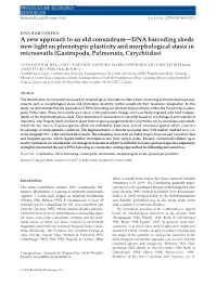 A New Approach to an Old Conundrumdna Barcoding Sheds