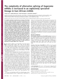 The Complexity of Alternative Splicing of Hagoromo Mrnas Is Increased in an Explosively Speciated Lineage in East African Cichlids