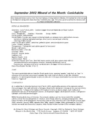 C:\Documents and Settings\Alan Smithee\My Documents
