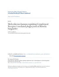 Molecular Mechanisms Regulating Complement Receptor 3-Mediated