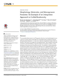 Morphology, Molecules, and Monogenean Parasites: an Example of an Integrative Approach to Cichlid Biodiversity