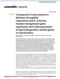 Comparative Transcriptomics Between Drosophila Mojavensis and D