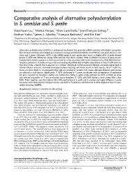 Comparative Analysis of Alternative Polyadenylation in S. Cerevisiae and S. Pombe