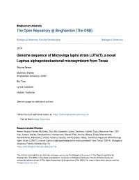 Genome Sequence of Microvirga Lupini Strain LUT6(T), a Novel Lupinus Alphaproteobacterial Microsymbiont from Texas