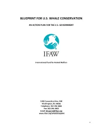 Blueprint for U.S. Whale Conservation