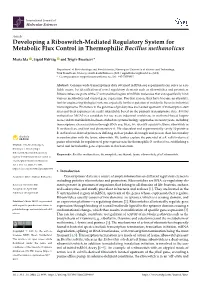 Developing a Riboswitch-Mediated Regulatory System for Metabolic Flux Control in Thermophilic Bacillus Methanolicus