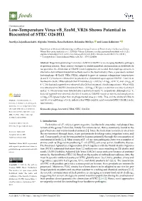 Low-Temperature Virus Vb Ecom VR26 Shows Potential in Biocontrol of STEC O26:H11