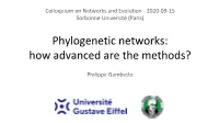 Phylogenetic Networks: How Advanced Are the Methods?