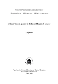 Wilms' Tumor Gene 1 in Different Types of Cancer