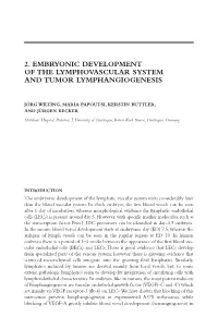 2. Embryonic Development of the Lymphovascular System and Tumor Lymphangiogenesis