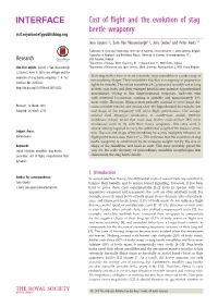 Cost of Flight and the Evolution of Stag Beetle Weaponry Rsif.Royalsocietypublishing.Org Jana Goyens1,2, Sam Van Wassenbergh1,3, Joris Dirckx2 and Peter Aerts1,4
