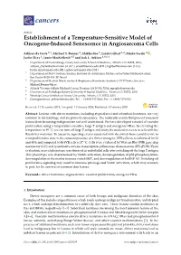 Establishment of a Temperature-Sensitive Model of Oncogene-Induced Senescence in Angiosarcoma Cells