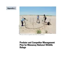 Predator and Competitor Management Plan for Monomoy National Wildlife Refuge