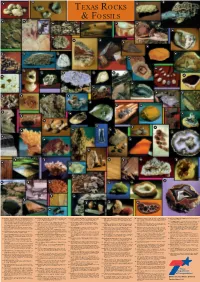 Texas Rocks & Fossils 3 4 6 8 9 12