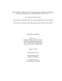 Phylogeny of the Family Eunicidae (Polychaete, Annelida) Based on Molecular and Morphological Data