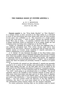 Origin of Plant Originated from Some Had Possibly Changed Recognise Original Wild Species. Suggested a Relationship with Pr