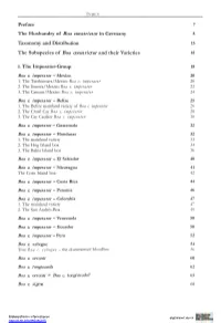 Preface 7 the Husbandry of Boa Constrictor in Germany 8 Taxonomy and Distribution 13 the Subspecies of Boa Constrictor and Their Varieties 18