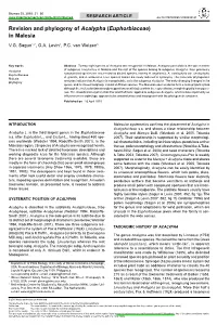 Revision and Phylogeny of &lt;I&gt;Acalypha&lt;/I