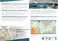 A History of Living with Flooding Size and the Amount of Rainfall Downstream of Dams, Total Flood Prevention Is Not Possible