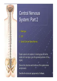 Central Nervous System